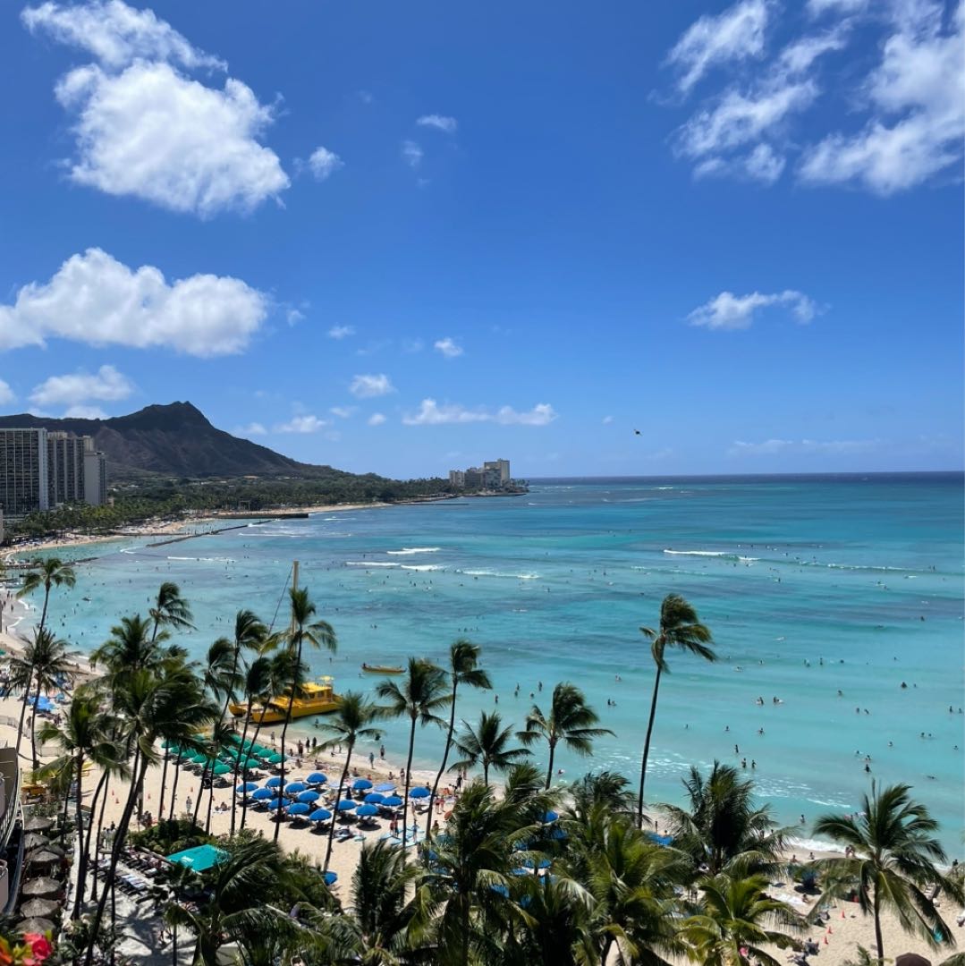 ☆美品☆ ピエールカルダン お受験 スーツ ワンピース ジャケット 濃紺  