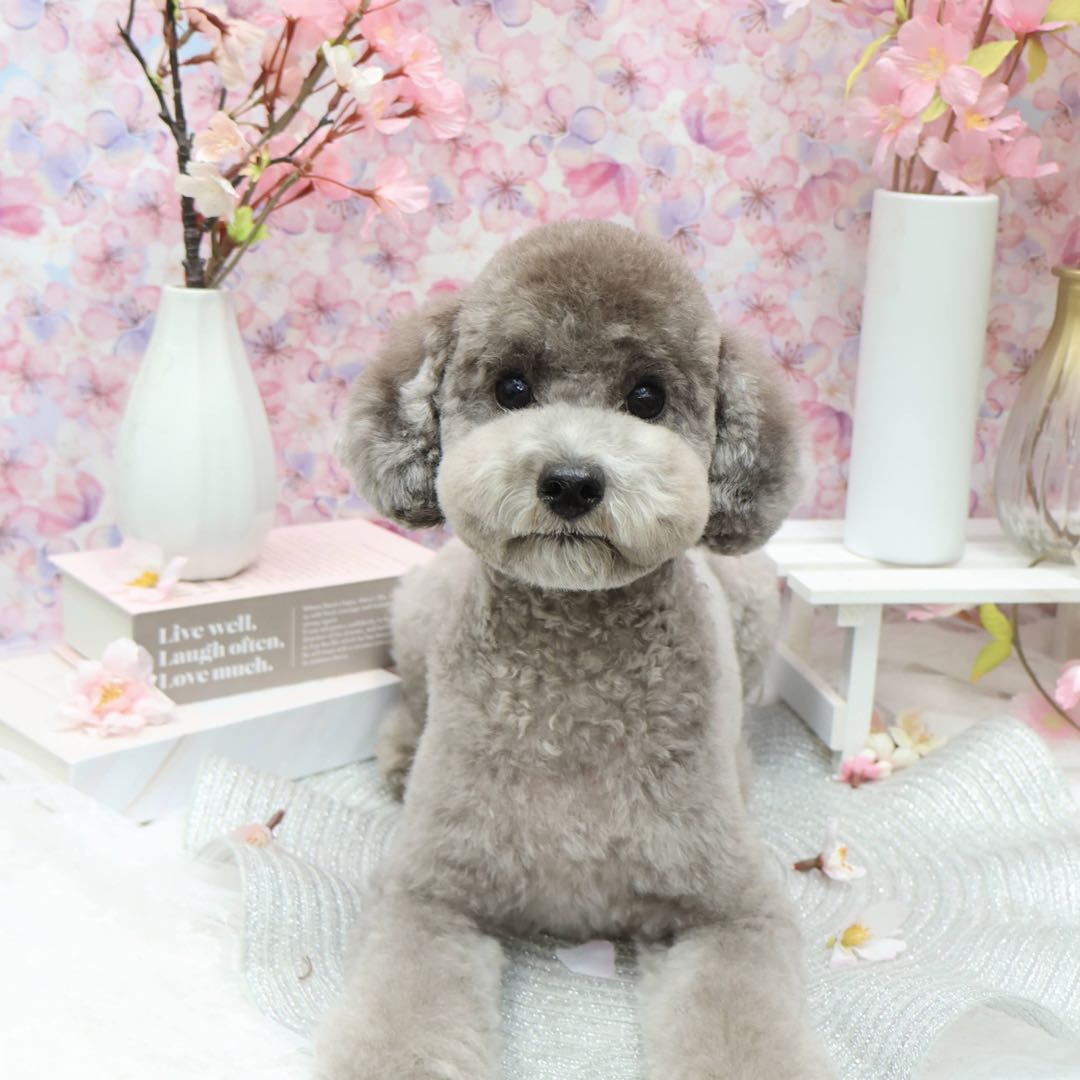 LOEWE ロエベ アナグラム フェイクポケットTシャツ ホワイト XLサイズ  