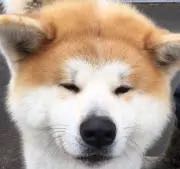 マン島 10ニューペンス硬貨☆1975年／未使用品／三脚巴・トリスケリオン／ マン島 10ニューペンス硬貨☆1975年／未使用品／三脚巴