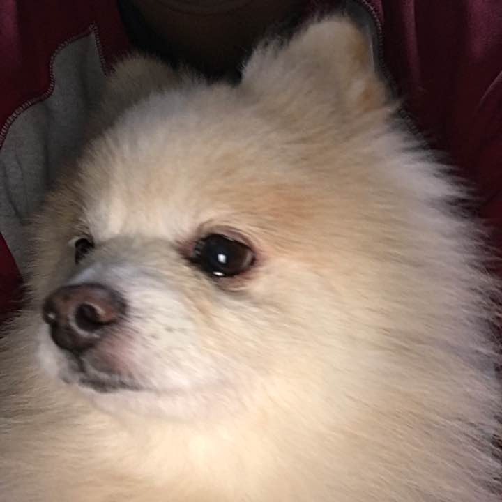 フラッシュシーズン8まで全てみれます！！ バラ売りはご相談ください  