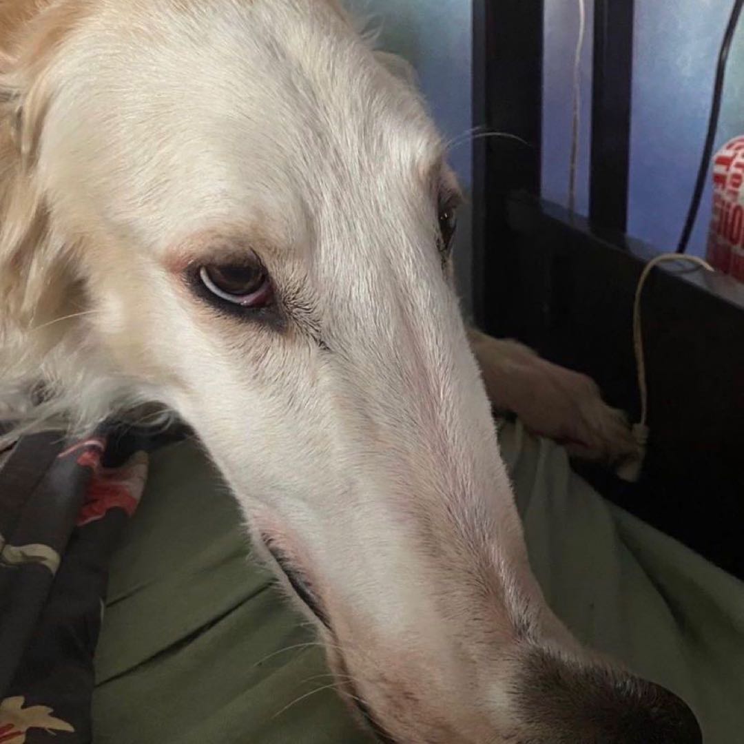 ninepath 印 in カーディガン - メルカリ 