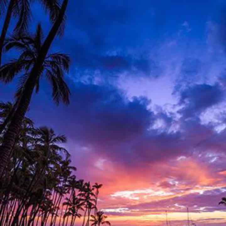 最終値下げ】blurhmsデニムスタンドカラージャケット BlackSolid  