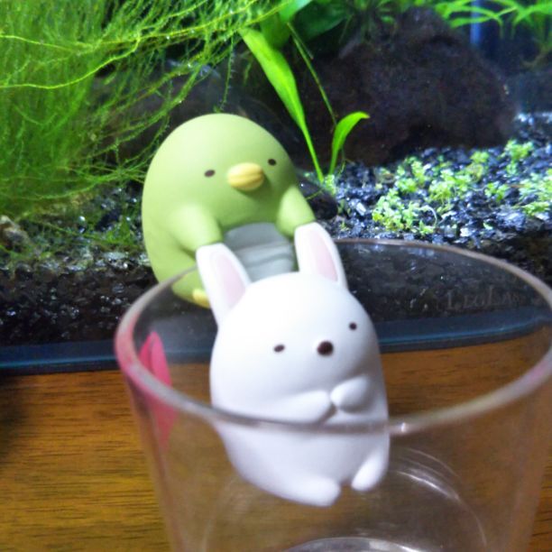 キュアソレイユランチディナーショー缶バッジ3枚セット