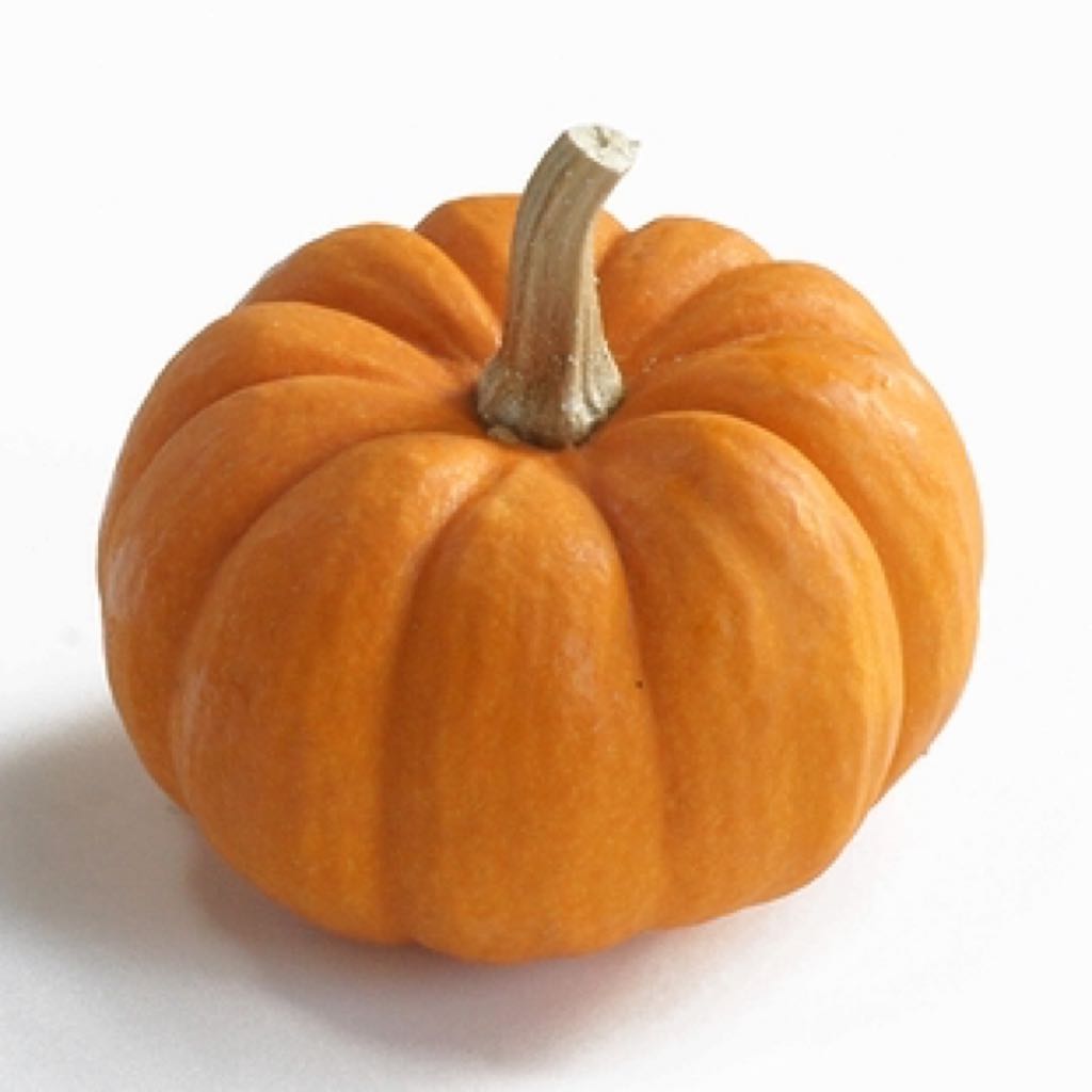 パンプキンの出品情報 評価 108 出品数 67 メルカリ スマホでかんたん フリマアプリ