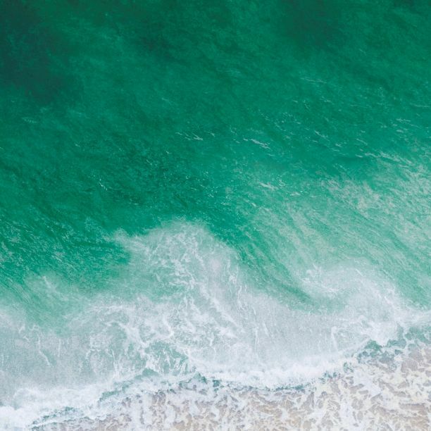 新版 えりー 様専用更にお値下げしました バーバリーロンドン フード付きコート11号 モッズコート Amilian De