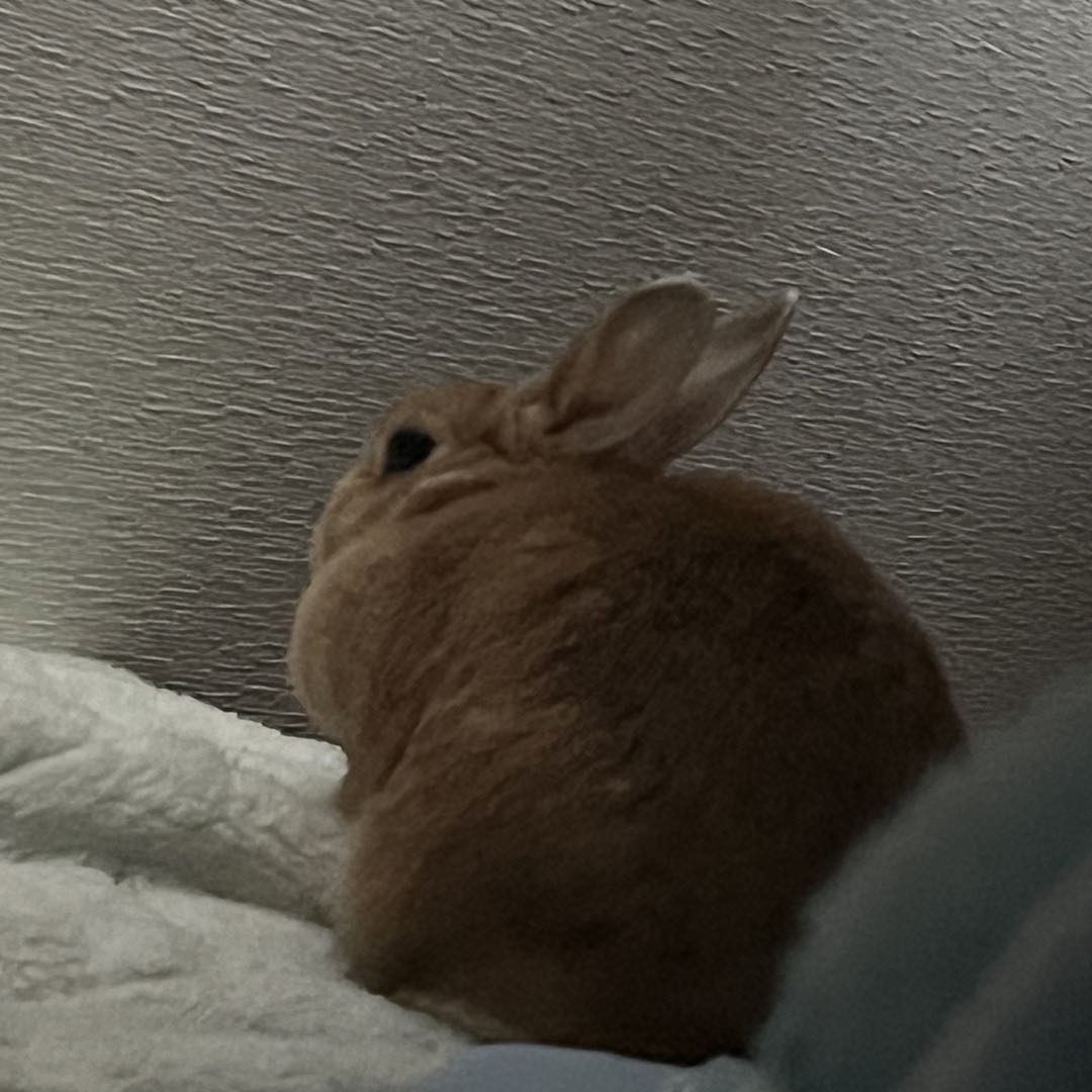 ロニックス ビル134 アダムエリントンプロモデル 美品 by メルカリ