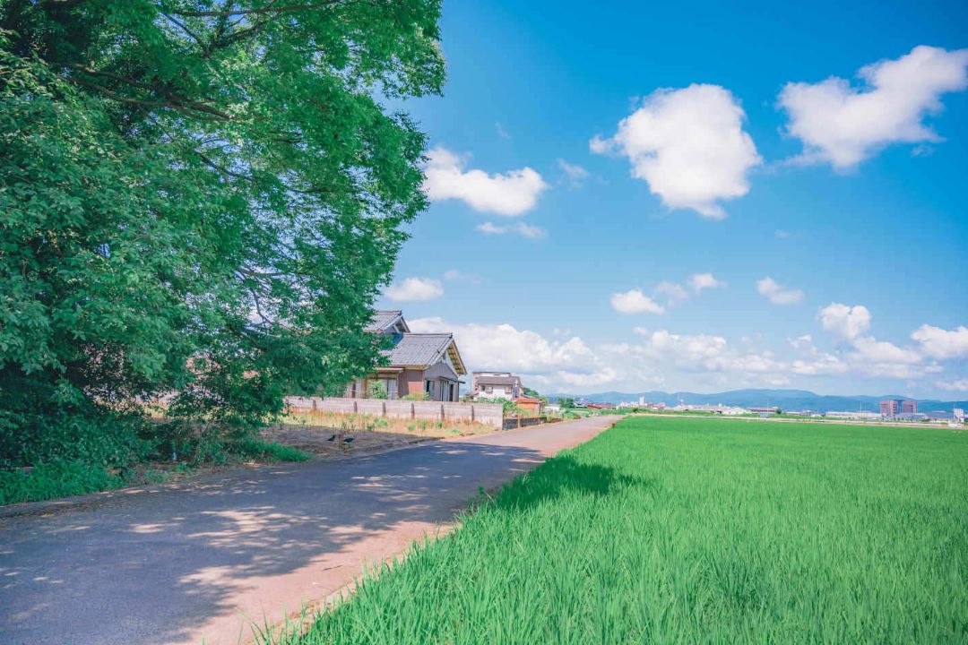 travis scott着用 レイジアゲインストザマシーン 2000年製Tシャツ  