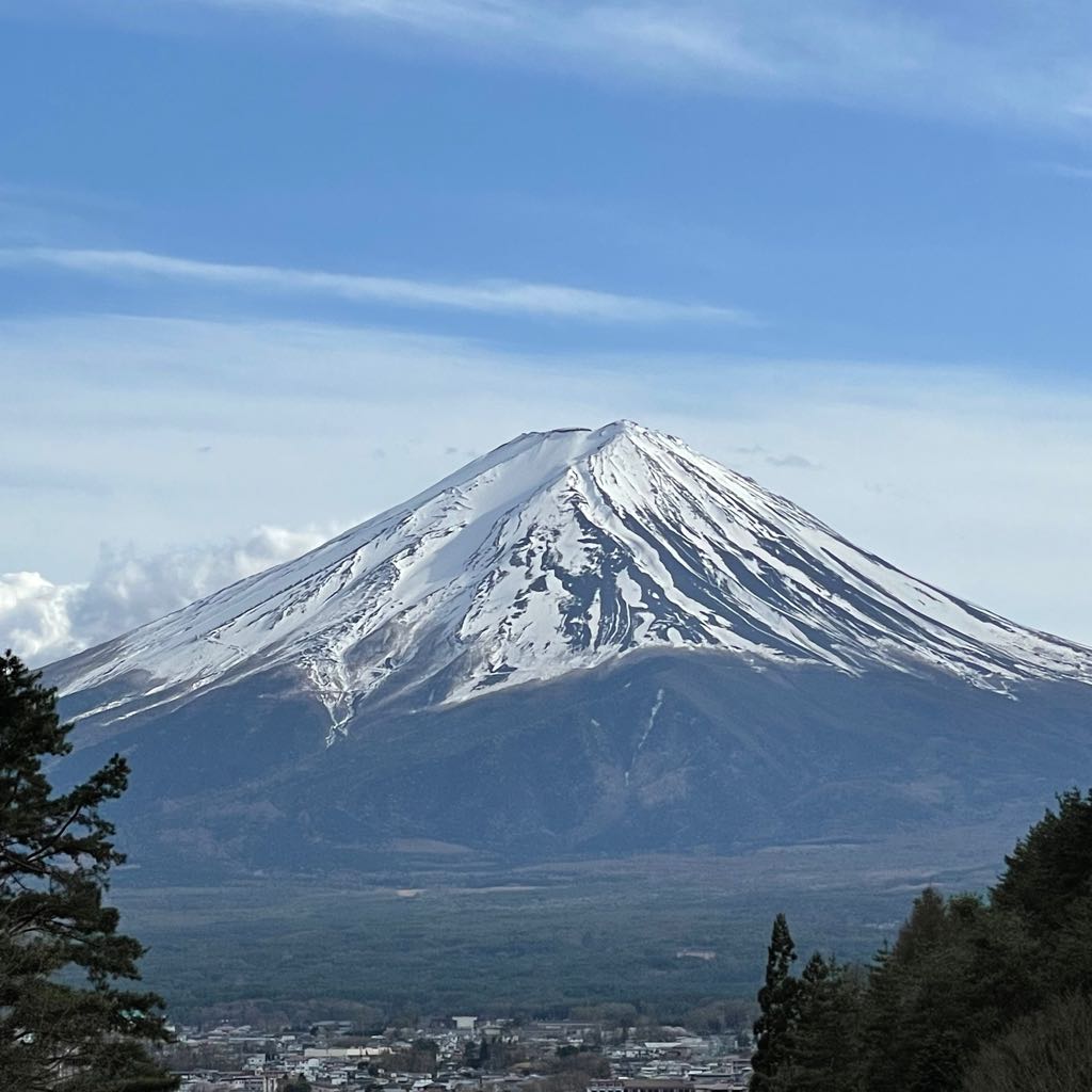 mashup系38灯セット ウォンキーキャンプ、ガーガ等