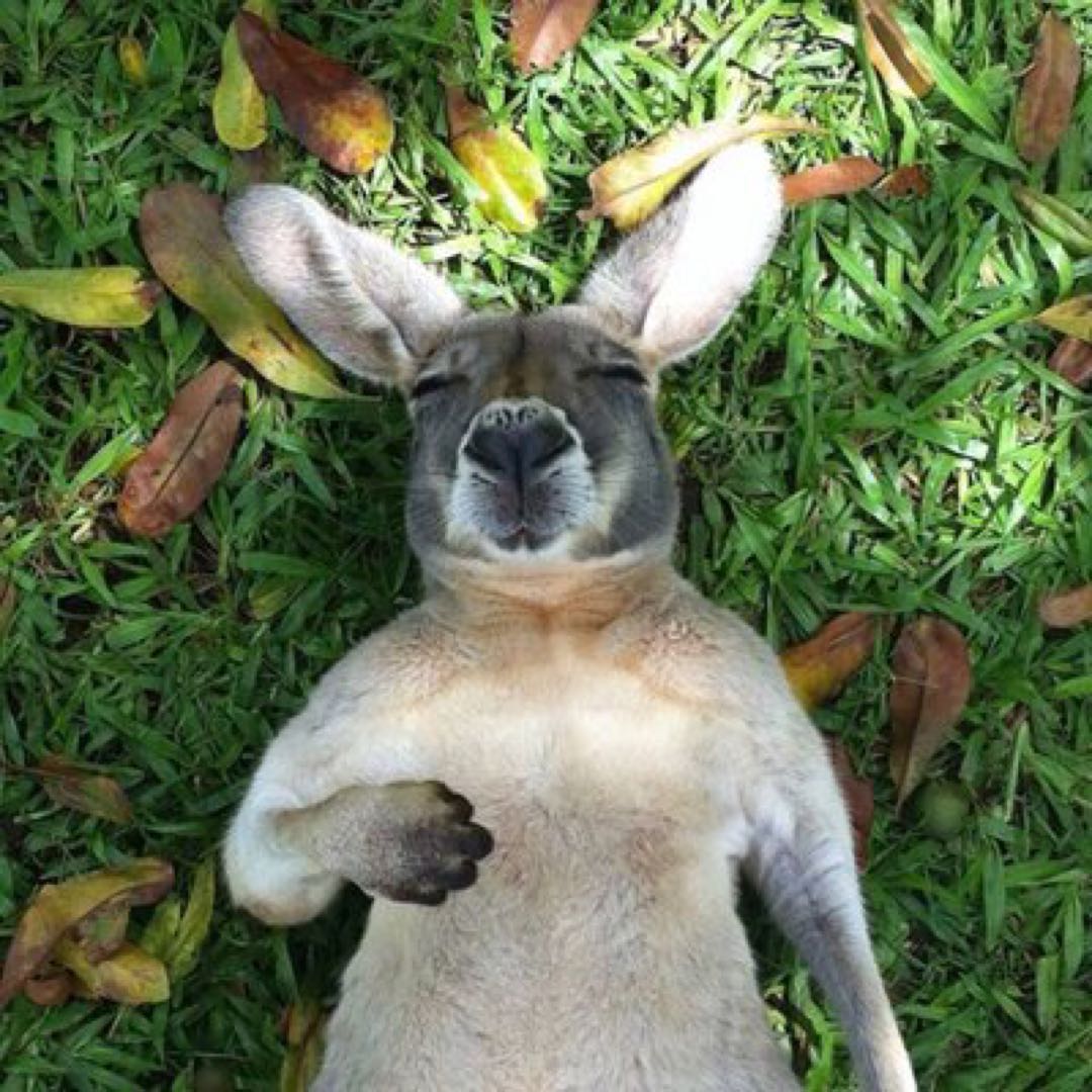 非売品)flumpool ライブフラッグ 直筆サイン入り(MOMENT) - メルカリ  