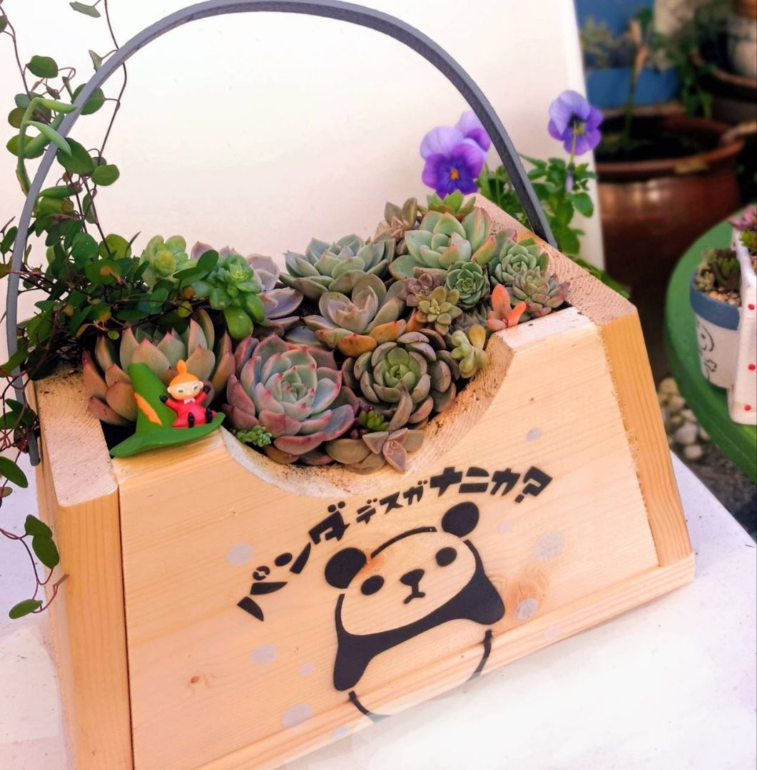 たにネズミ鉢セット♪リメイク鉢　リメ鉢　多肉　ハリネズミ　リメ缶　リメイク缶 たにネズミ鉢セット♪リメイク鉢リメ鉢多肉ハリネズミリメ缶リメイク缶