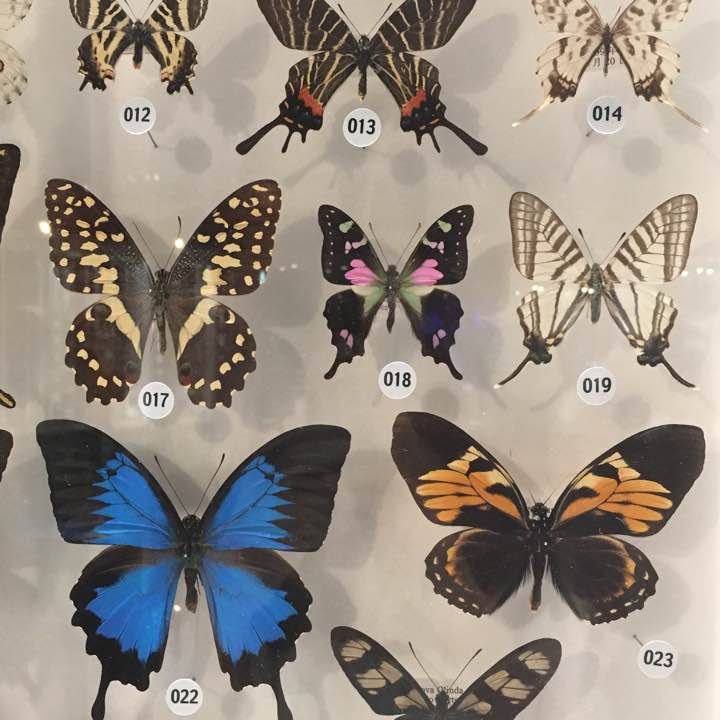 プリパラ ドロシー&レオナ 未塗装未組立ガレージキット - メルカリ 