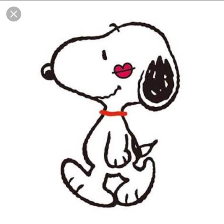 予約】 【keee】ブレインスリープコンフォーターオールシーズンズ 布団