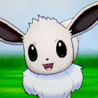 Shiro ポケモン中心出品の出品情報 評価 39 出品数 52 メルカリ スマホでかんたん フリマアプリ