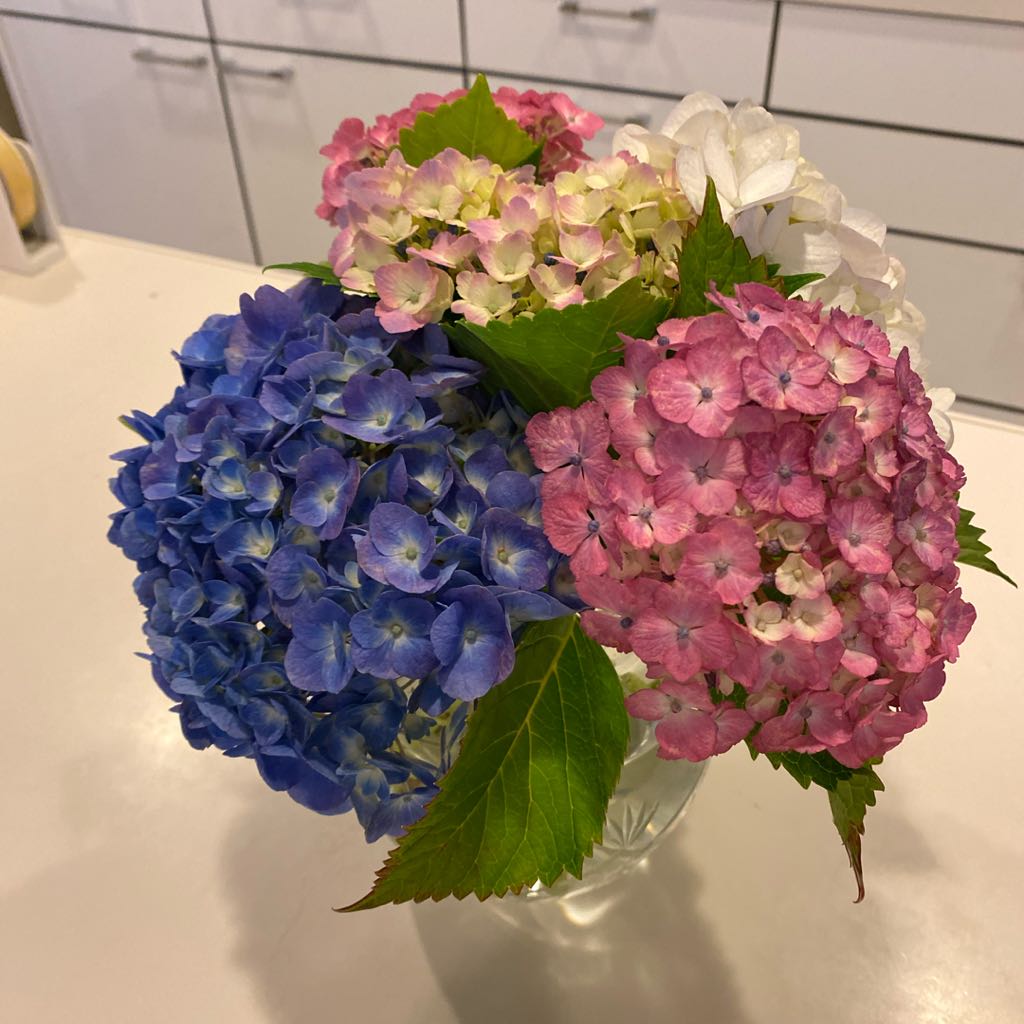 アンテプリマ 長財布 スマホケースとして使えます by メルカリ 