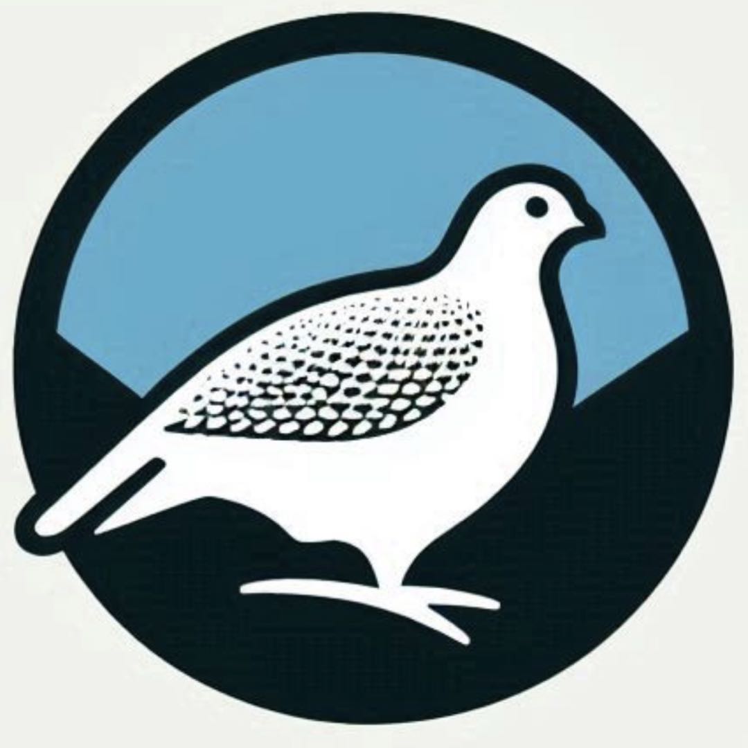 未使用ジャックシェルターミニ オリーブカラー 本体&ポール  