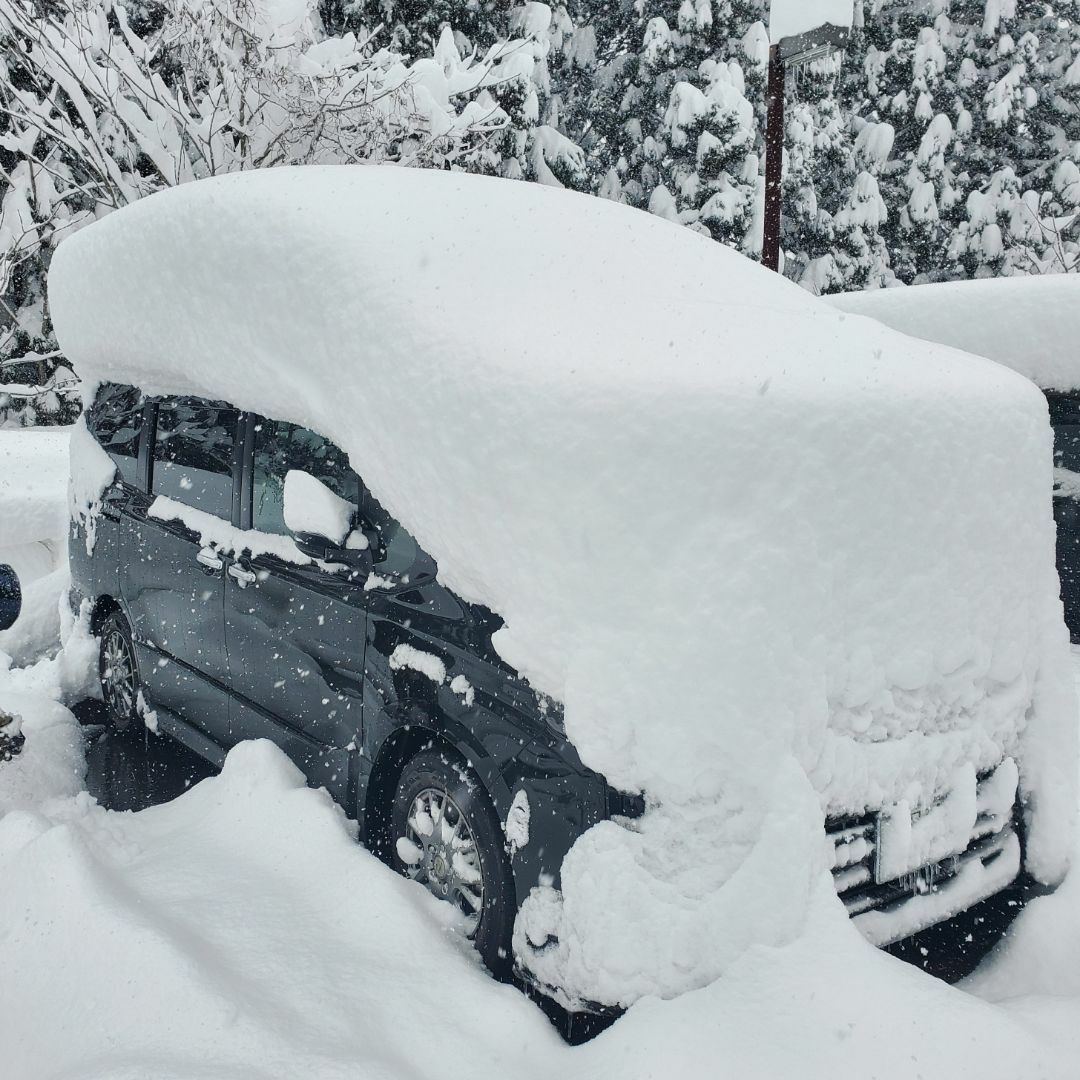 ぱぱすの出品情報 評価 276 出品数 185 メルカリ スマホでかんたん フリマアプリ