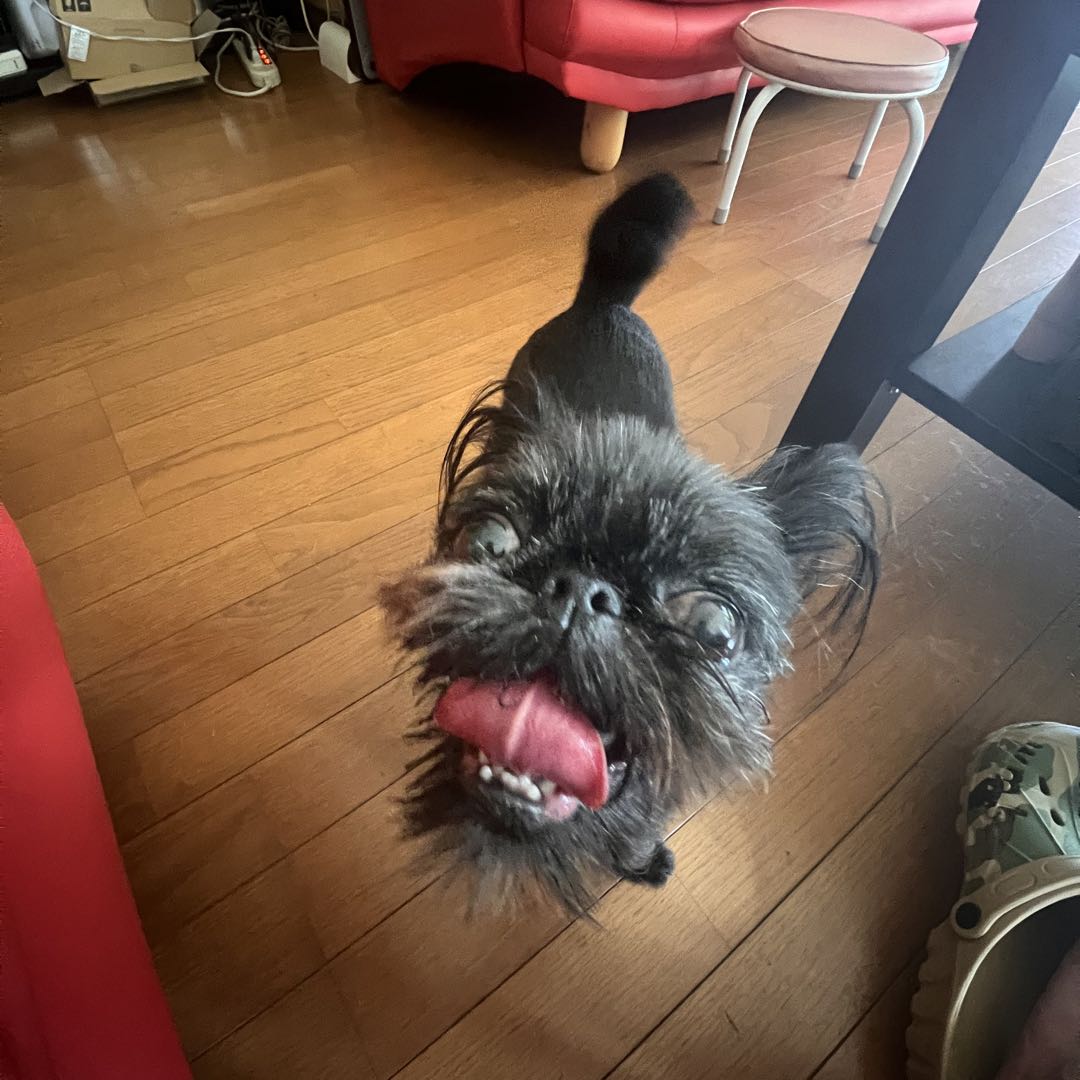 ハルピニスト東本昌平東本昌平キリンニューハルピン限定廃版ピンズ