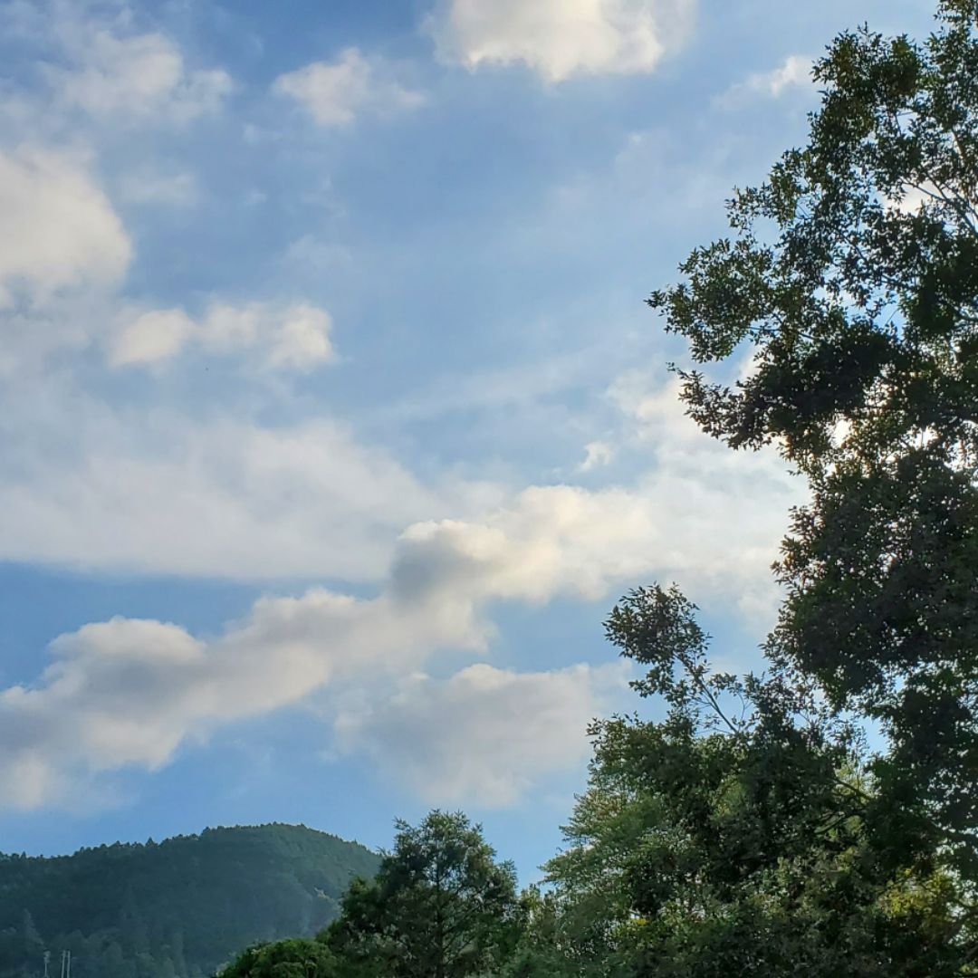 イラストオーダーについて メルカリボックス 疑問 質問みんなで解決