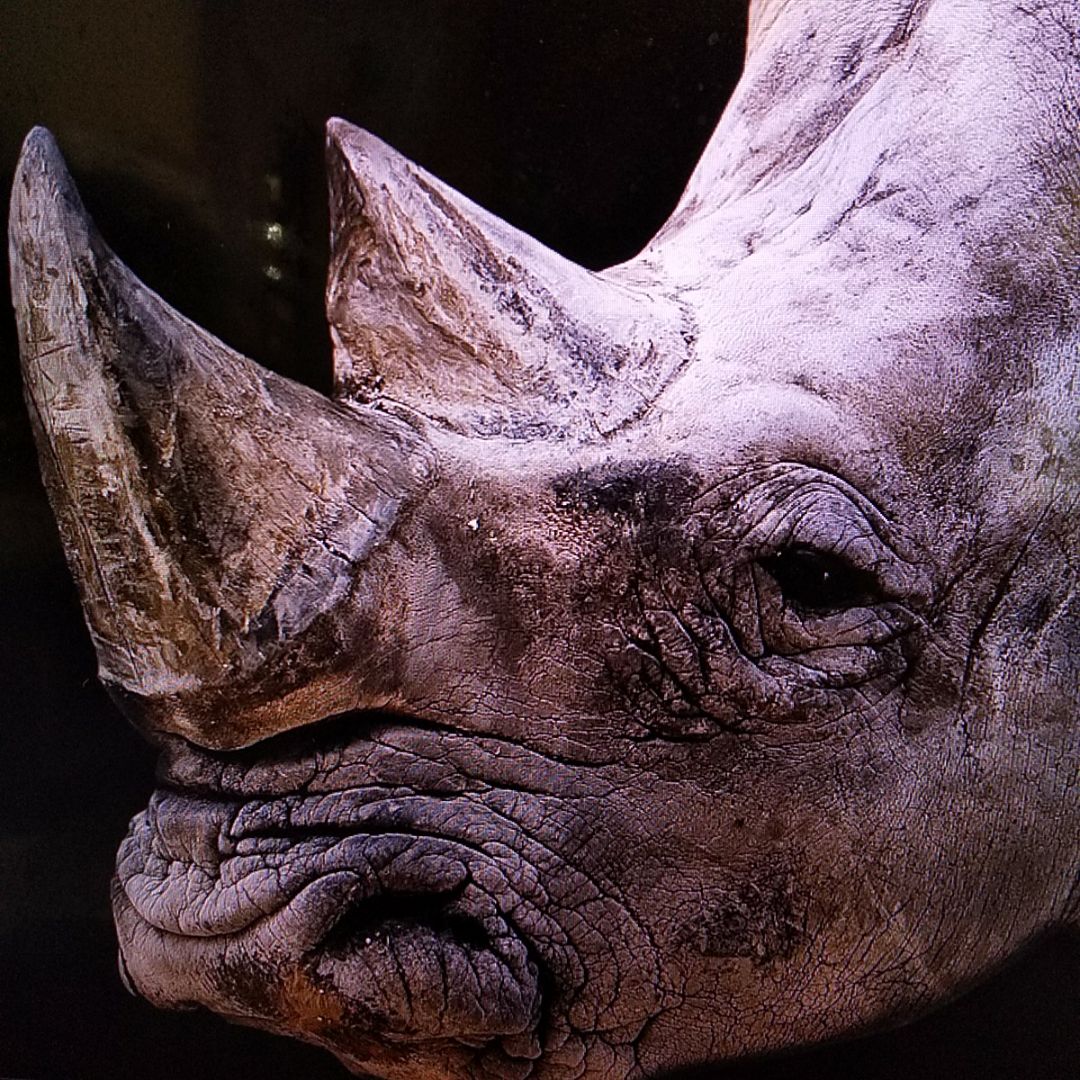 2301【LPレコード】豪華版・華麗なるカラヤン名曲の世界10枚組み