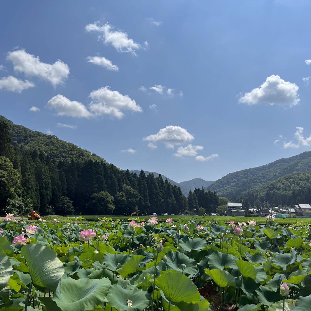 まめまる様取置き 運命のアルカナと星が導く FORTUNE TELLER by メルカリ 