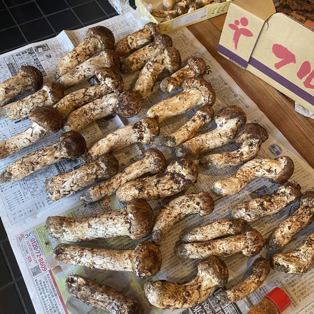 幻のキノコ 南信州産『生』香茸 1.5kg - メルカリ