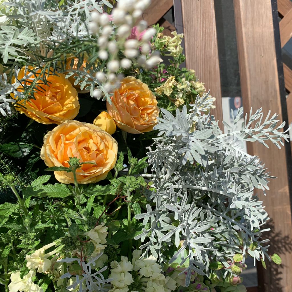 極美品✨ADORE アドーア ドライツイルワンピース レーヨン ネイビー  