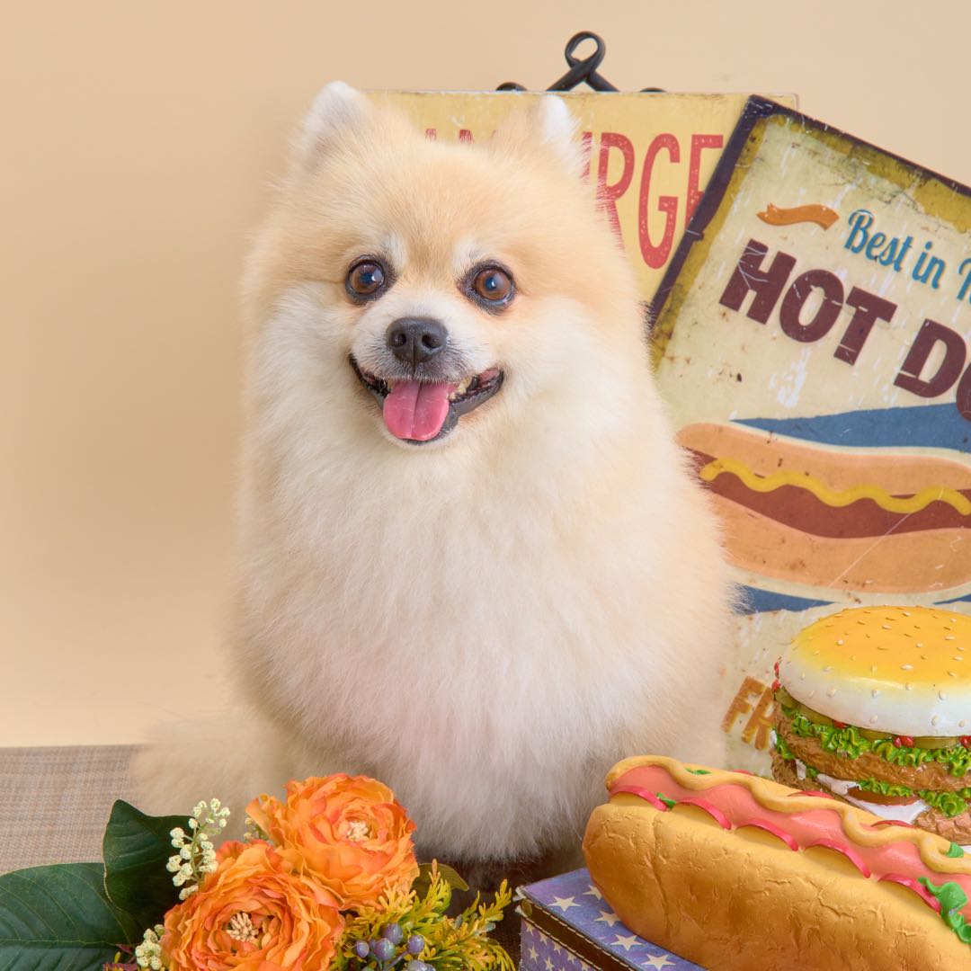 7/26① リクエスト・パネルのみも受付中♪ - メルカリ 