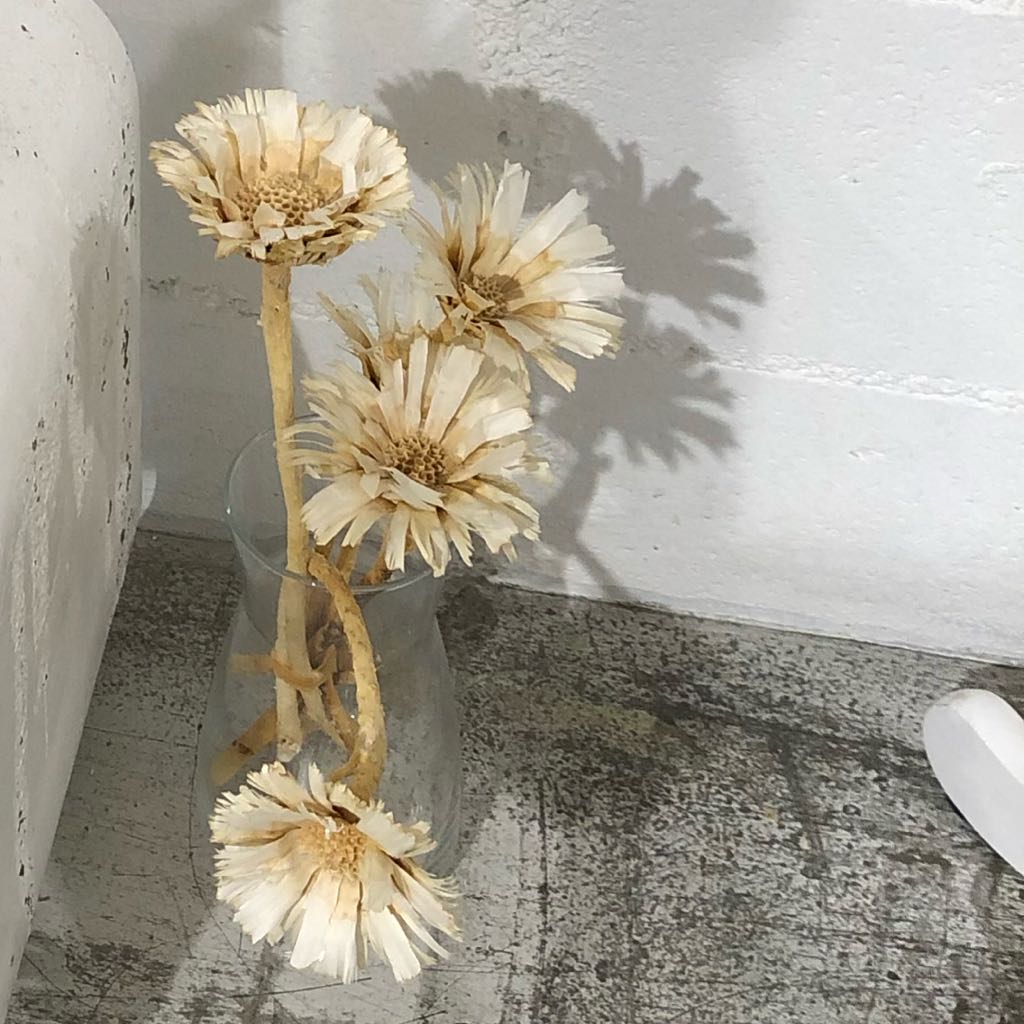 気紛れお値下げ❣️美品☆LOEWE ・シェルバスケット ミディアム トート  