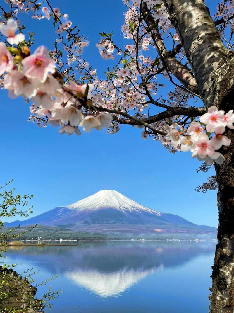 大島紬 着物リメイク バルーンスカート＆羽織り 和柄 赤黒花×金帯  