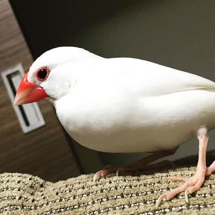 最高品質の かるたおか様専用テナジー05 ブラック 特厚 2枚入 その他