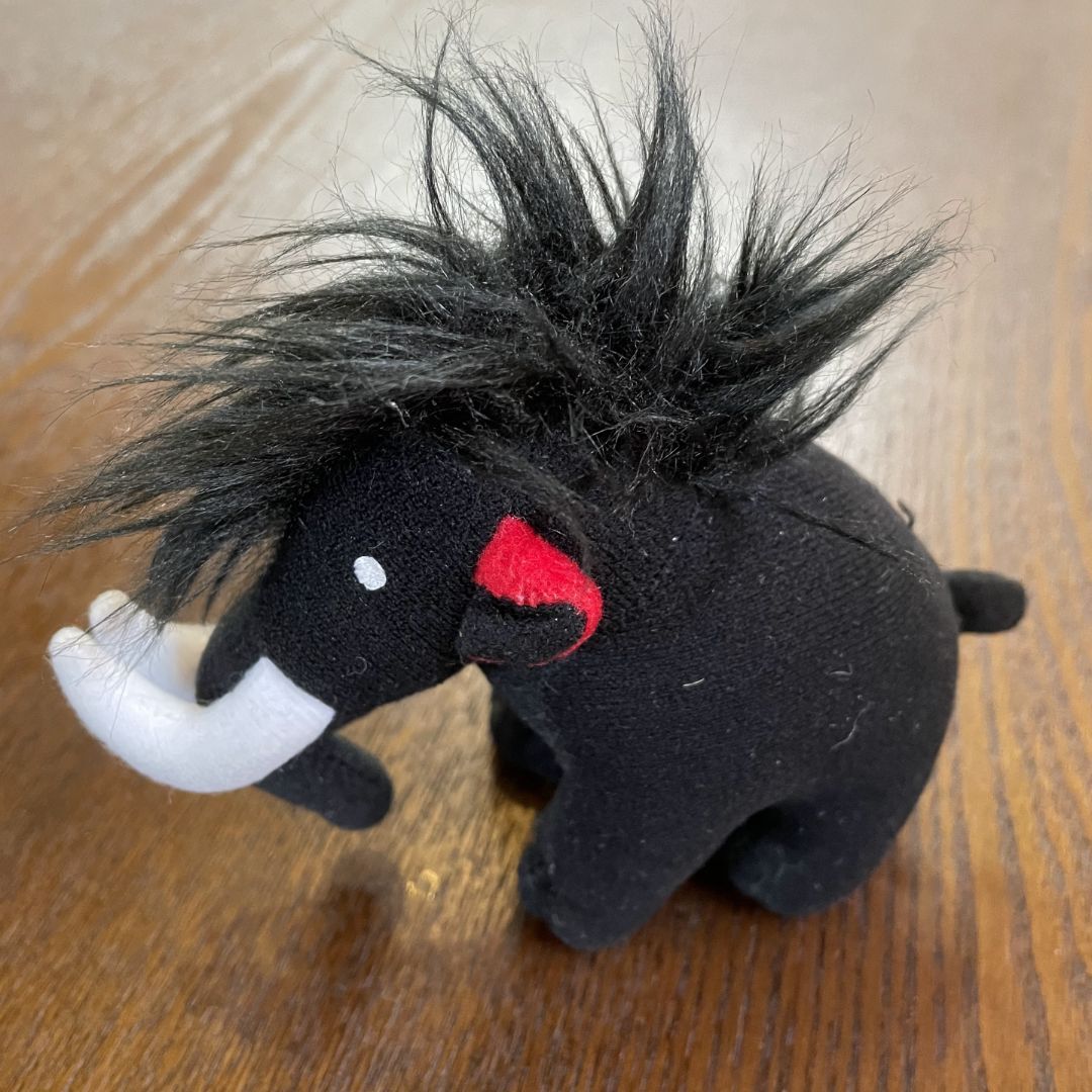 スポルティバ スクワマ ブラック/ポピー EU38.5(25.0cm) - メルカリ