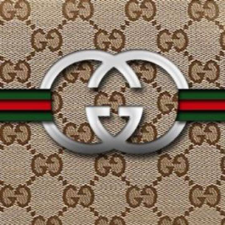 極美品□GUCCI グッチ 21AW GG柄 ノースフェイス GGダウンベスト 