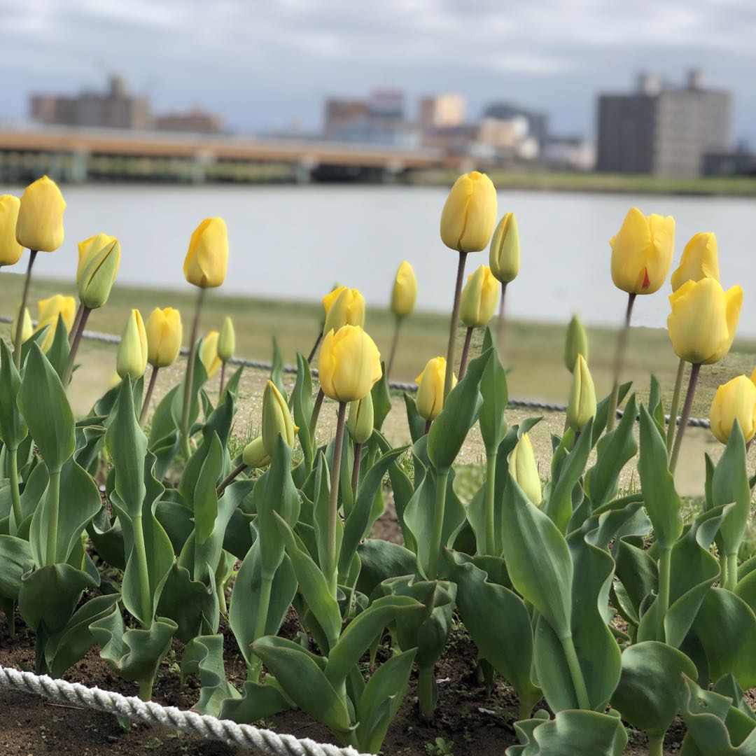 なこの出品情報 評価 665 出品数 630 メルカリ スマホでかんたん フリマアプリ