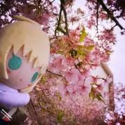 Fate gift ぬいぐるみ ギルガメッシュ ロマニ マーリン Fate gift ぬいぐるみ ギルガメッシュ ロマニ マーリン - メルカリ