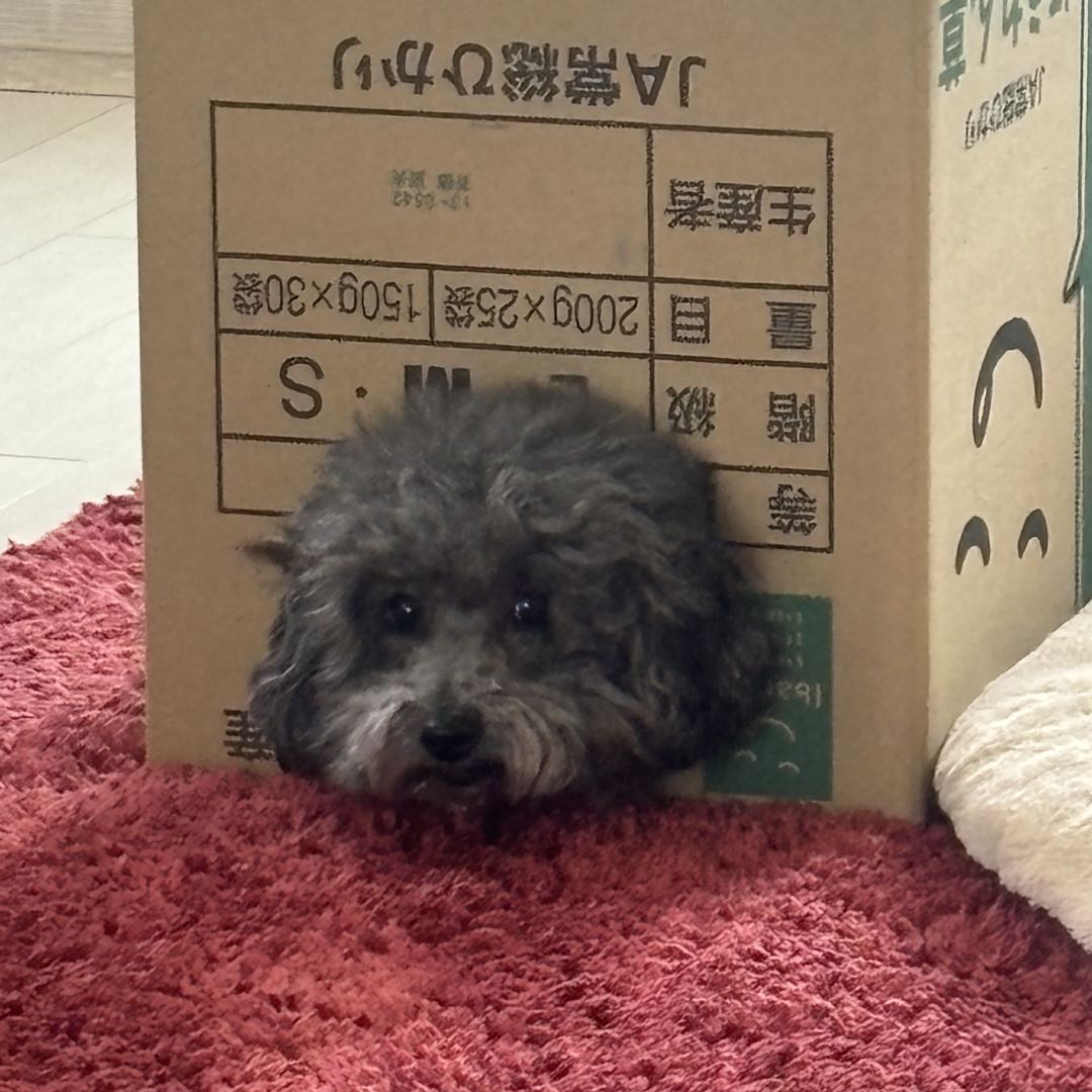 きらちょ の出品した商品 - メルカリ