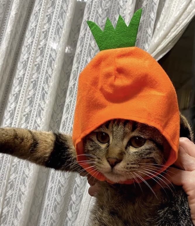 美品／鑑定済み○ シャネル パンチング ハンドバッグ ココマーク 9番台  