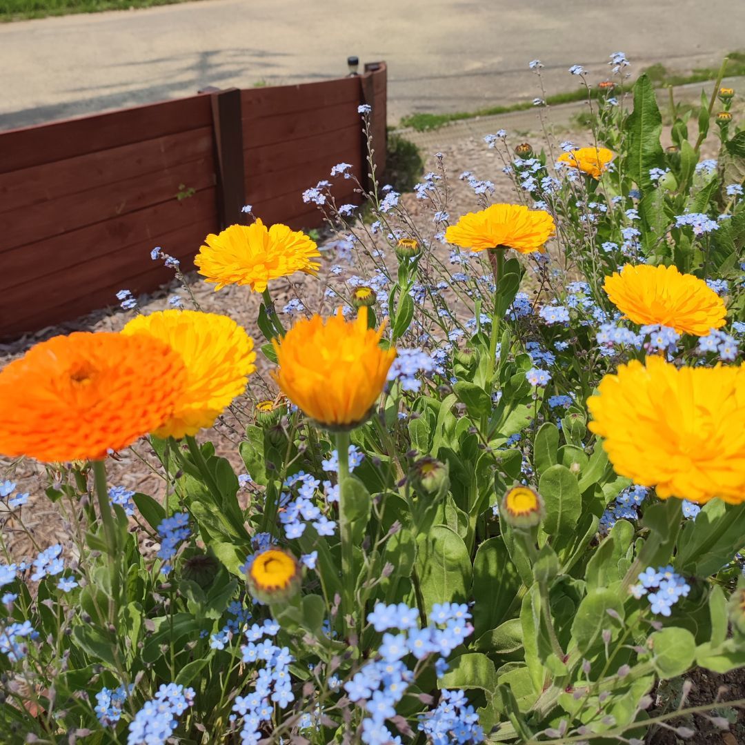 タグ付 ケイトスペードニューヨーク ロングワンピース マキシ丈 花柄 