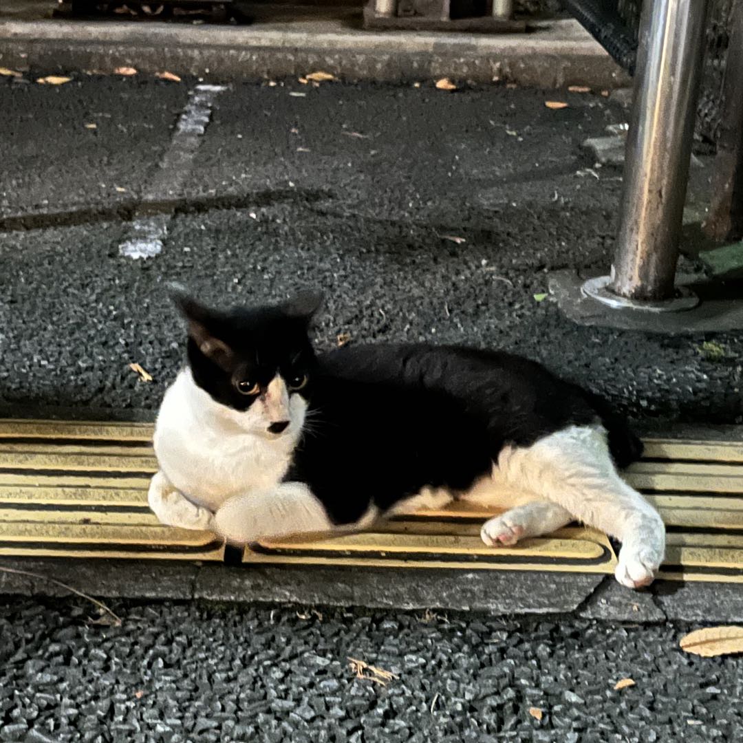 【黒バス】ショウワノート おみくじ アクリルブロック 黄瀬 黒バス】ショウワノート おみくじ アクリルブロック 黄瀬 - メルカリ