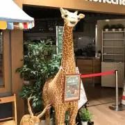 Tiffany テクスチャー ウィーブマネークリップ希少美品 - メルカリ 