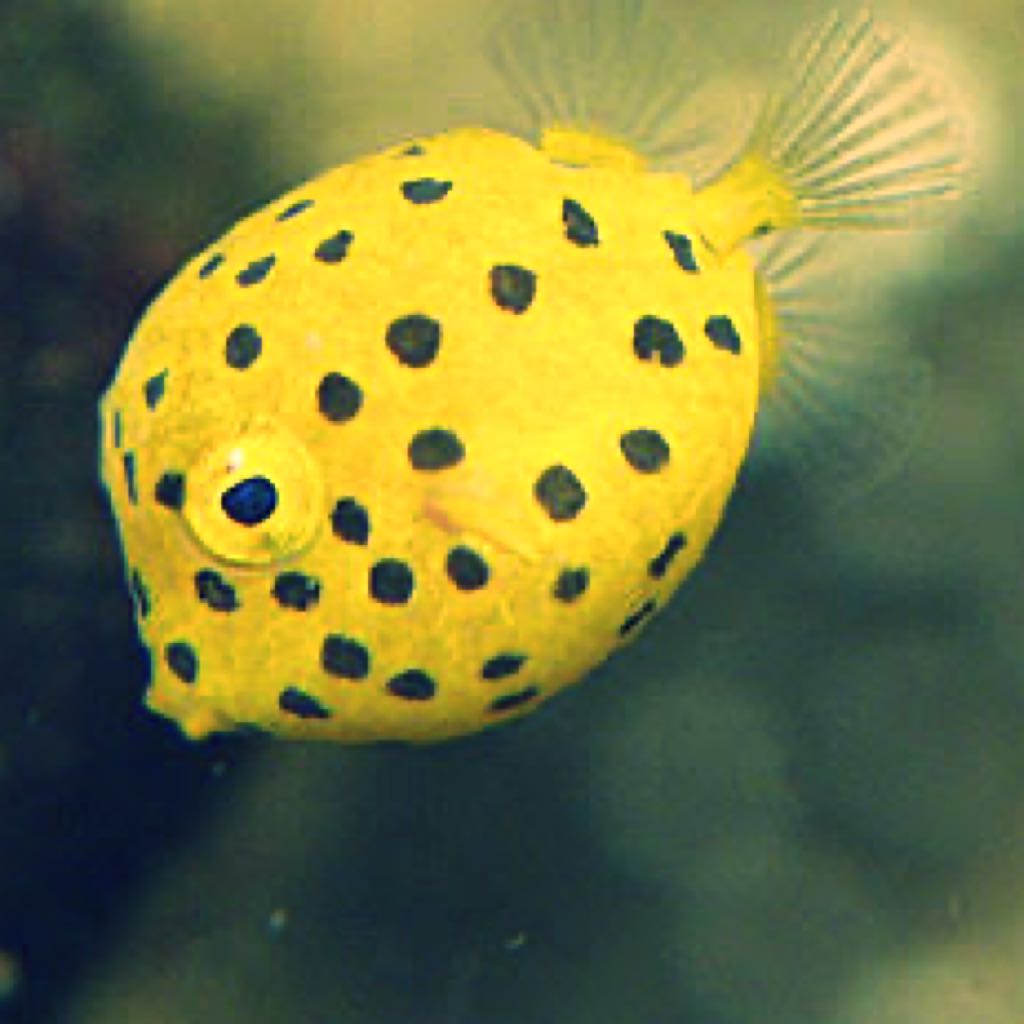 あかたろうの出品情報 評価 78 出品数 69 メルカリ スマホでかんたん フリマアプリ