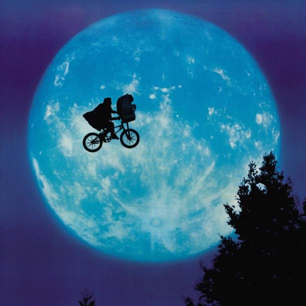 ブルーインパルス2013松島基地帰還記念スーベニアMA-1フライトジャケット