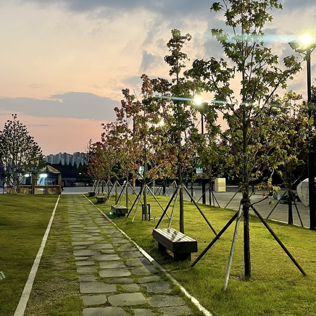 ハンドボール練習着 Tシャツ バラバラ ロンティー ロンT ゲーパン  