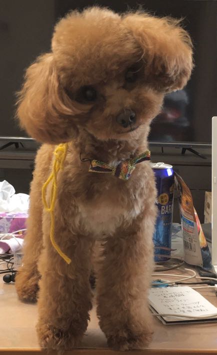 激レア サイモンとガーファンクル PICKWICK盤 SEARS盤 - メルカリ 