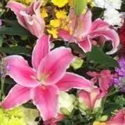トヨタ369 ブランクキー《014》 トヨタ369 ブランクキー《014》