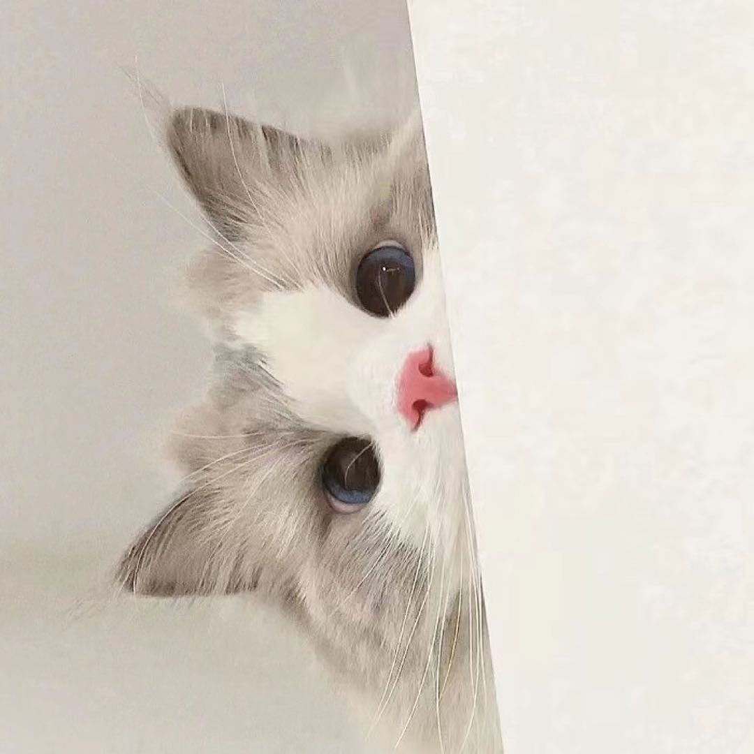 BTS SUGAユンギソウルコン会場限定トレカAgustD ARMYzoon2枚 by メルカリ 