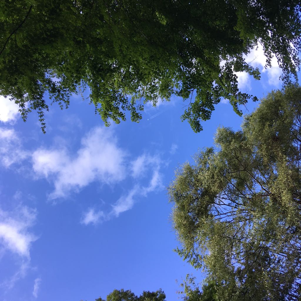 ランキング第1位 【まゆ】THULE スーリー スーリー Easy fold