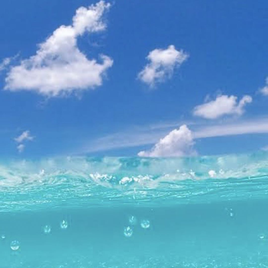 Pachiraの出品情報 評価 140 出品数 164 メルカリ スマホでかんたん フリマアプリ