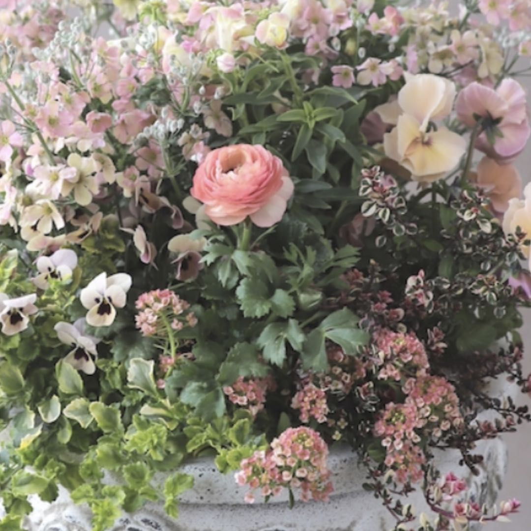 ワックスメルト》チョコTEDDY【カフェモカの香り】@500円+送料