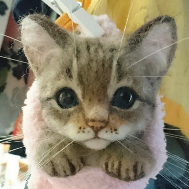 完売☆新作☆レース 羽織 花シリーズ ショール カラー:鉛色 ディム  