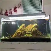 希少】横浜ダニエル 樺材 ナイト テーブル サイド 引出し 飾り台